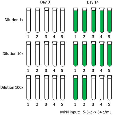 The serial dilution culture-most probable number assay to estimate phytoplankton concentrations in ballast water: comments and improvements